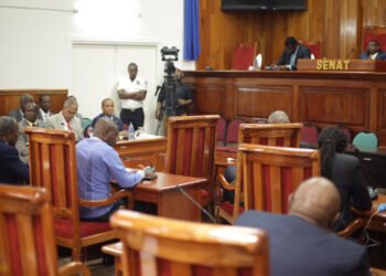 Nueva Constitución de Haití limita alcance de parlamentarios