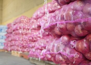 Inespre vende más de 6 mil quintales de cebolla a 10 pesos la libra