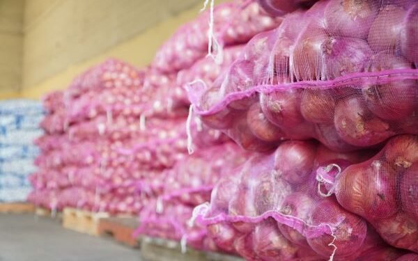 Inespre vende más de 6 mil quintales de cebolla a 10 pesos la libra