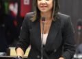 Faride Raful sale al frente de insinuaciones de Pacheco
