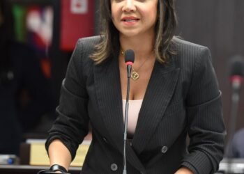 Faride Raful sale al frente de insinuaciones de Pacheco