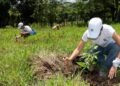 Una cultura de sostenibilidad que impulsa al país