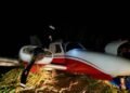 Aterriza avioneta en cañaveral en La Altagracia