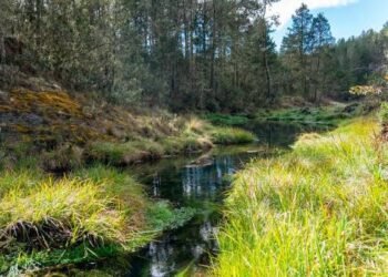 Ministerio de Medio Ambiente intervendrá cuencas hidrográficas