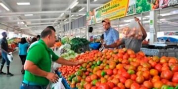 Incentivos fiscales para quienes no desperdicien alimentos