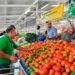 Incentivos fiscales para quienes no desperdicien alimentos