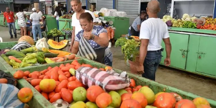 PLD culpa equipo agropecuario del Gobierno de alza y escasez productos