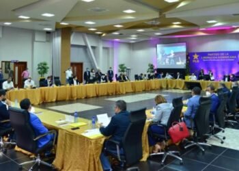 El PLD apoya la despenalización del aborto en las tres causales en la RD