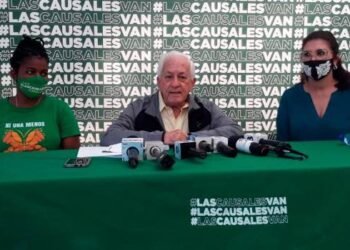 Academia de Ciencias: son constitucionales las tres causales del aborto en el Código Penal