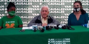 Academia de Ciencias: son constitucionales las tres causales del aborto en el Código Penal