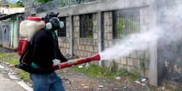 OMS quiere erradicar la malaria de RD y otros 24 países de aquí a 2025