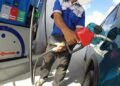 El gobierno vuelve a congelar el precio de los combustibles