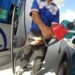 El gobierno vuelve a congelar el precio de los combustibles