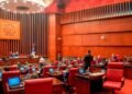 Senado aprueba en primera lectura el presupuesto complementario por más RD$85 mil millones