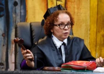 Las propuestas que hizo Miriam Germán a la comisión para el Código Penal y que fueron ignoradas