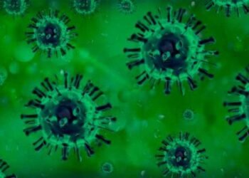Países encienden la alarma ante nueva variante ómicron del coronavirus