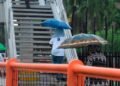 Onamet pronostica lluvias para esta tarde por vaguada localizada en Puerto Rico