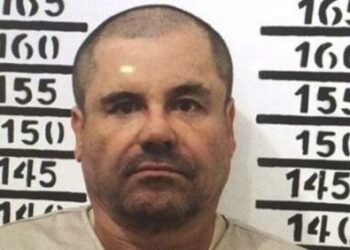 EEUU: Un tribunal de NY confirma cadena perpetua a Chapo Guzmán
