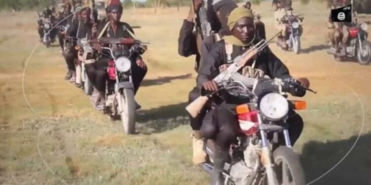 Más de 200 muertos en ataques de bandidos en Zamfara