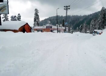 PAKISTAN: Una fuerte nevada deja 22 muertos y miles de afectados