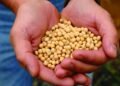 La soya de EE. UU. promueve, a través de la sostenibilidad, buena nutrición y salud global