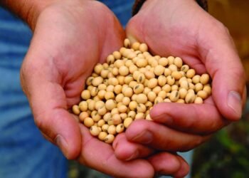 La soya de EE. UU. promueve, a través de la sostenibilidad, buena nutrición y salud global