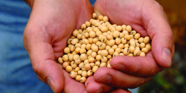 La soya de EE. UU. promueve, a través de la sostenibilidad, buena nutrición y salud global