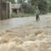 Las lluvias continúan y obligan a desplazar 7,975 personas en RD