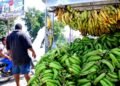 Vivienda, alimentos y bebidas, y transporte: grupos que más subieron de precios en enero
