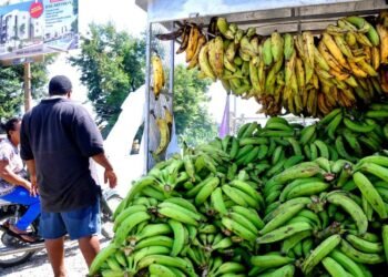 Vivienda, alimentos y bebidas, y transporte: grupos que más subieron de precios en enero