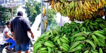 Vivienda, alimentos y bebidas, y transporte: grupos que más subieron de precios en enero