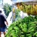 Vivienda, alimentos y bebidas, y transporte: grupos que más subieron de precios en enero