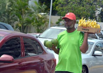Más trabajadores independientes que empleados en 2021 en RD