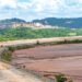Medio Ambiente dice: “No le hemos aprobado nada (a Barrick Gold)”