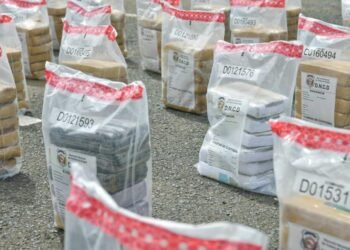 DNCD ocupa 1,402 paquetes de cocaína y apresa a ocho personas