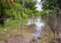 Pérdidas en sector agropecuario podrían pasar de los RD$2,000 millones
