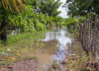 Pérdidas en sector agropecuario podrían pasar de los RD$2,000 millones