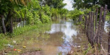 Pérdidas en sector agropecuario podrían pasar de los RD$2,000 millones