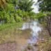 Pérdidas en sector agropecuario podrían pasar de los RD$2,000 millones