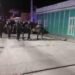 Ebanista dejó cuatro muertos antes de ser ultimado por agentes de la Policía Nacional
