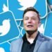 Multimillonario Musk anuncia que una mujer dirigirá la red Twitter