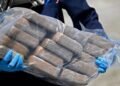 DNCD decomisa 451 paquetes de cocaína en Multimodal Caucedo