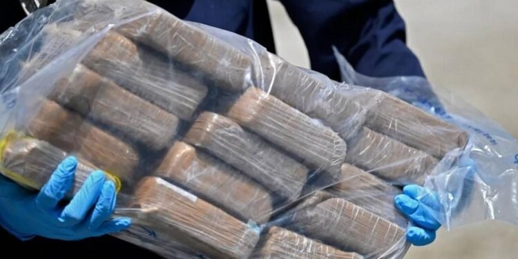 DNCD decomisa 451 paquetes de cocaína en Multimodal Caucedo