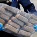 DNCD decomisa 451 paquetes de cocaína en Multimodal Caucedo
