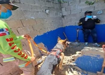 Hombre que habría matado a su amigo en La Vega fue quien llevó a los policías donde estaba el cadáver
