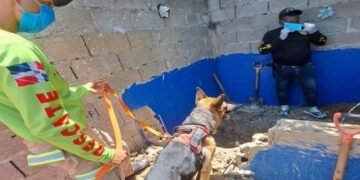 Hombre que habría matado a su amigo en La Vega fue quien llevó a los policías donde estaba el cadáver