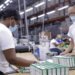 Zonas francas encabezan exportaciones totales de República Dominicana