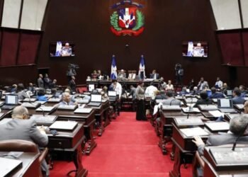 Aduanas propone a diputados seguir administrando bienes ilícitos