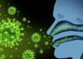 Estudio explica cómo virus gripal logra penetrar en células para infectarlas