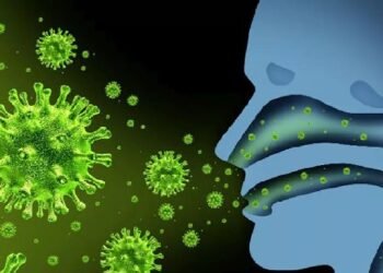 Estudio explica cómo virus gripal logra penetrar en células para infectarlas